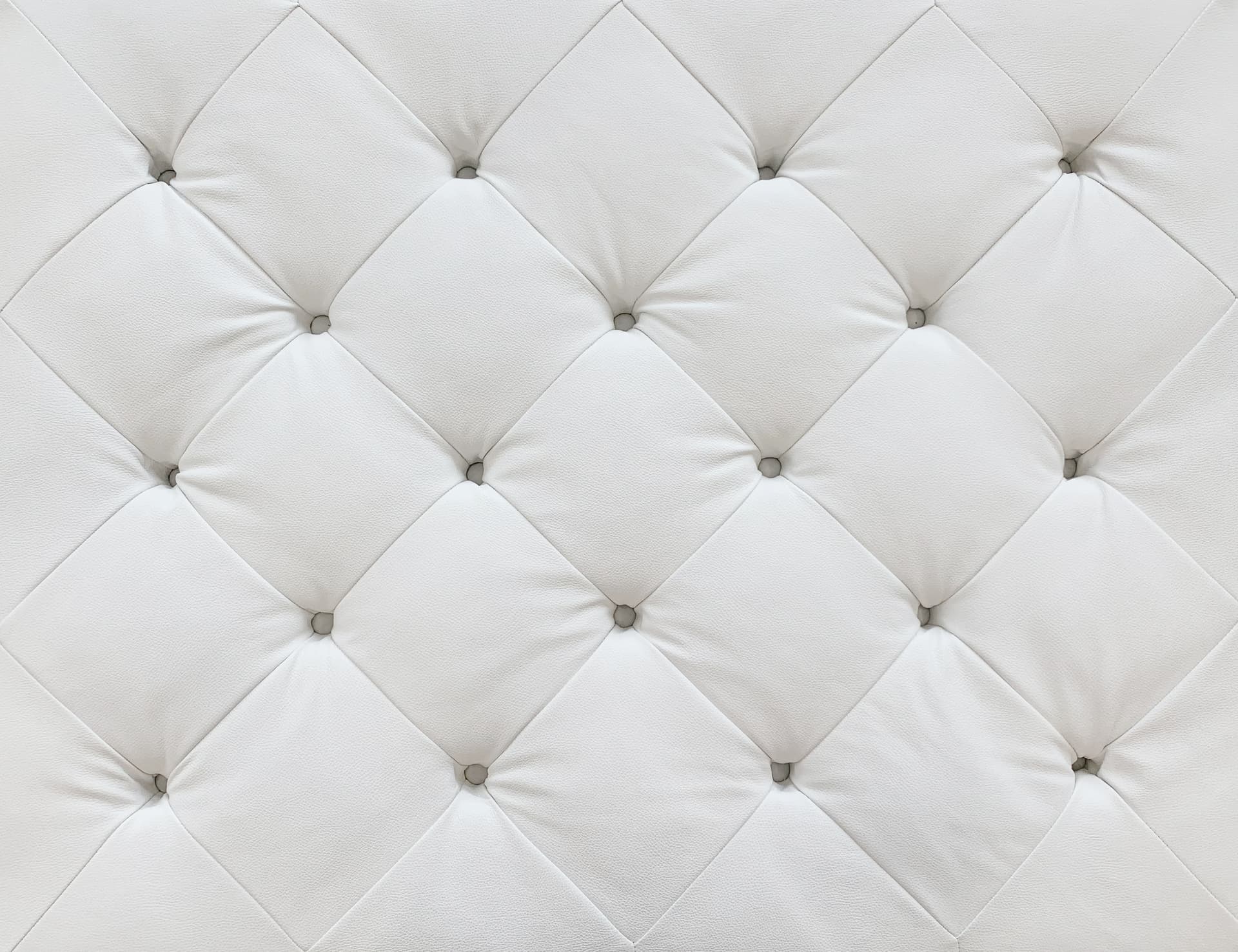 Luxury pet boarding suites at 4 Paws LLC providing comfort and care